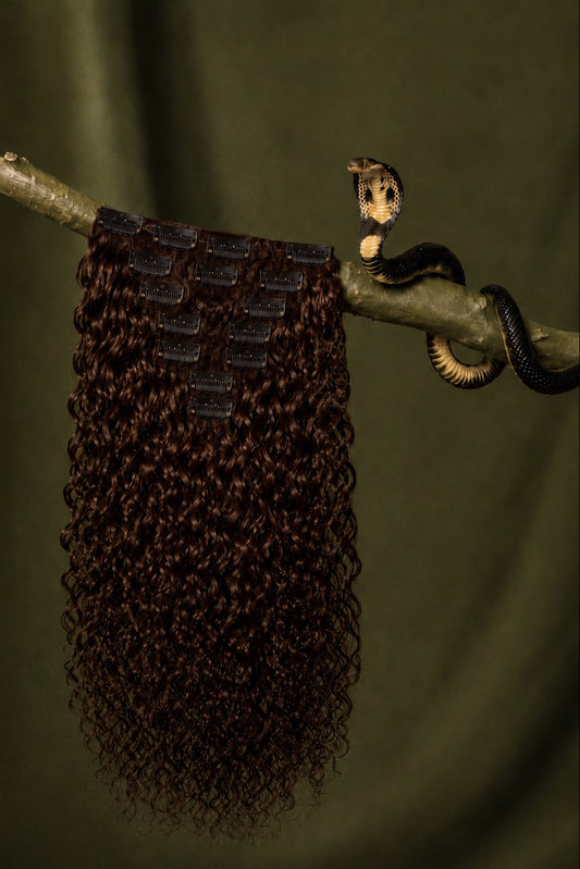 #2 Cobra Curl Water Wave Classic Clip-Ins in Medium Brown back view human hair clip-in extensions
