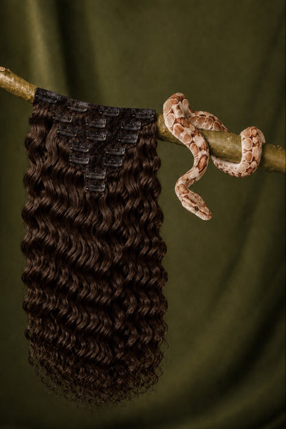 #2 Rattlesnake Curl Loose Deep Wave Classic Clip-Ins in Medium Brown back view human hair clip-in extensions