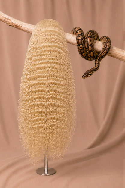 613 Python Curl Deep Wave 5x5 HD Lace Closure Wig in Platinum Blonde back view human hair wig texture